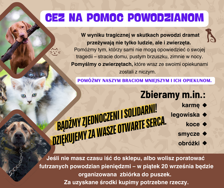 pomoc